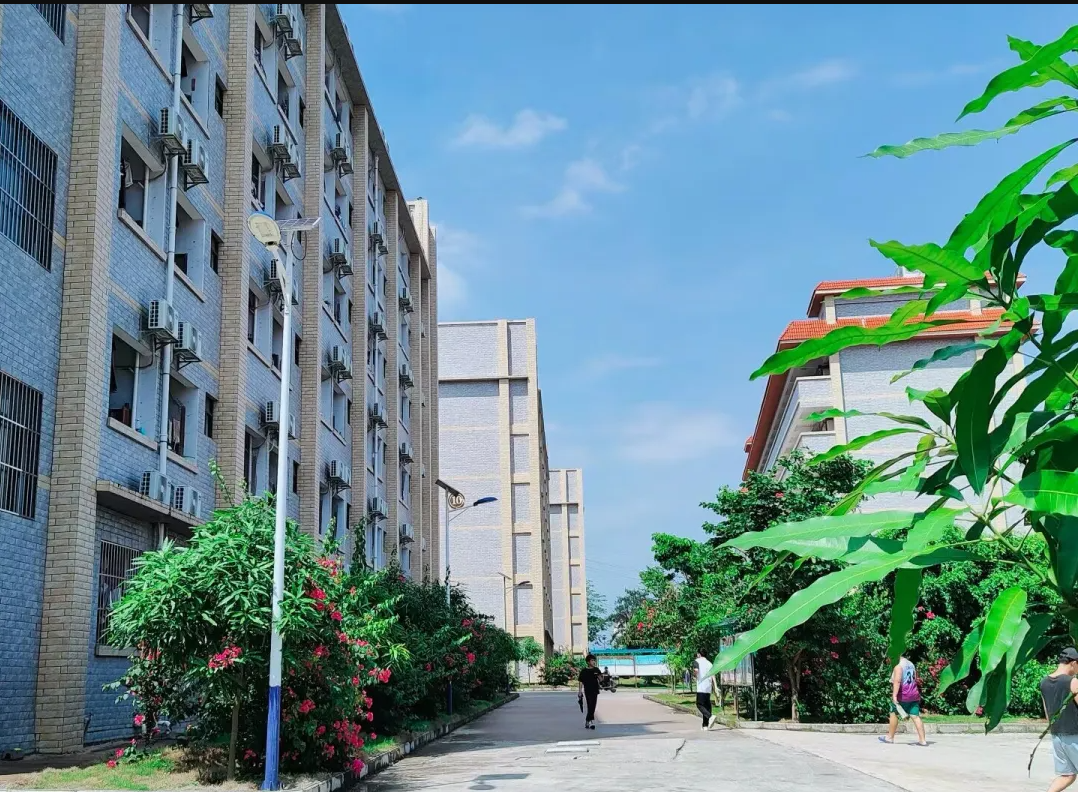一隅溫暖，只因“寓”見(jiàn)你｜你的大學(xué)宿舍長(zhǎng)這樣！